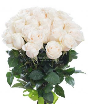 BOUQUET OF 25 ROSES